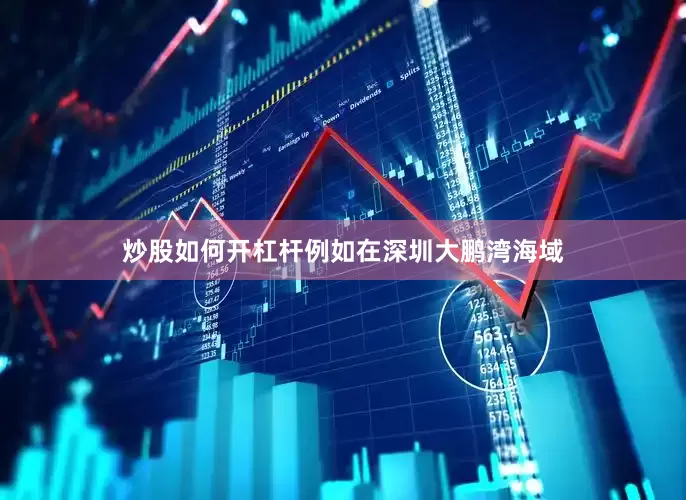 炒股如何开杠杆例如在深圳大鹏湾海域